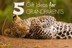 5 Gift Ideas for Grandparents