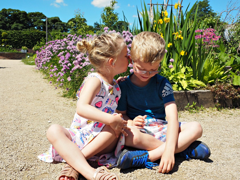 The Siblings Project linky with Dear Beautiful Blog #siblingsproject A day at the park