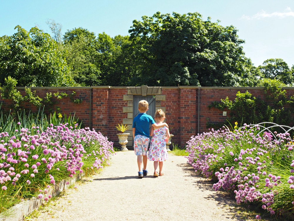 The Siblings Project linky with Dear Beautiful Blog #siblingsproject A day at the park