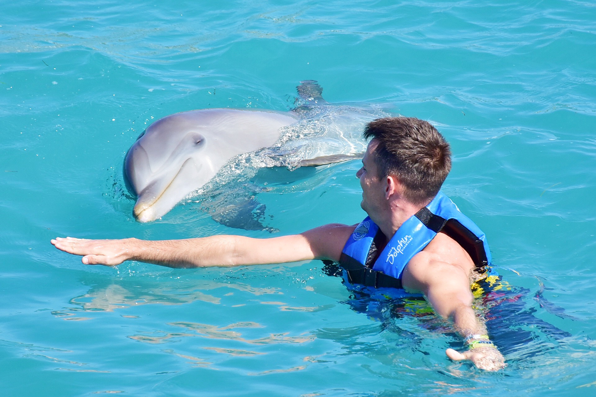 Isla Mujeres and Dolphin Tours Mexico