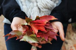 11 Tips For Preparing For A Leaf-Viewing Autumn Hike