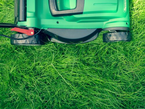 An Auto Draft lawn mower is laying on the grass.