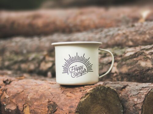 camping cup on logs in a forest