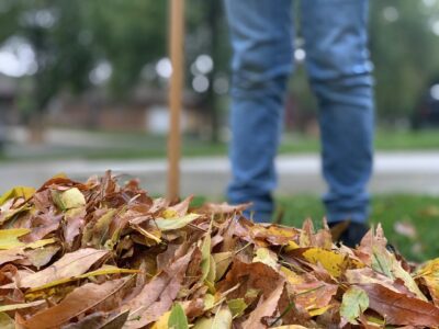 Cleaning Your Backyard in the Autumn: A How-to Guide